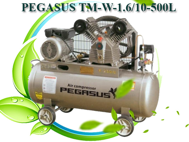 máy nén không khí Pegasus TM-W-1.6/10-500L